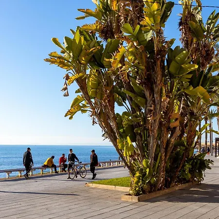 Apartment Del Cura Penthouse Torrevieja